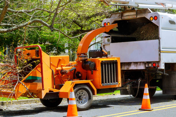 Best Fruit Tree Pruning  in Throop, PA